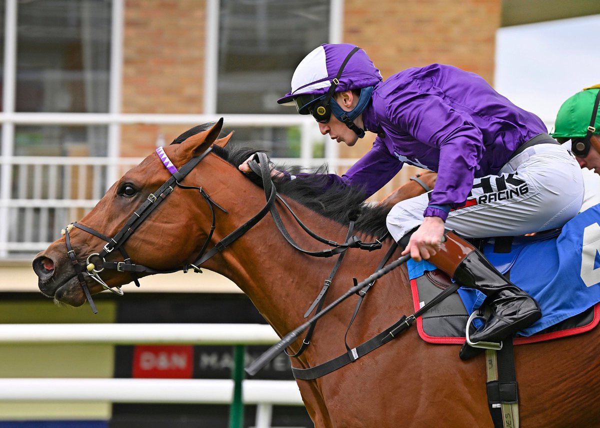 ahaynesracing's tweet photo. Remarkable Force π is another 2yo winner on debut! He put in a tough performance under @DavidEgan99 for @amoracingltd! Well done to all connections ππ₯ bought from @RathbarryStud @BrzUps @GoffsUK @bloodst_aguiar #Winner #AHaynesRacing #AmoRacing #Colourpin https://t.co/2lOaofZsz5