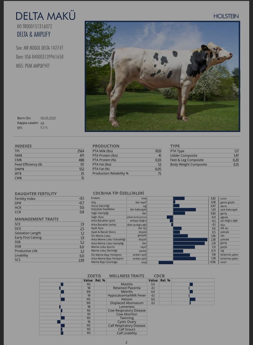 MAKÜ Embriyo üretim merkezi (GETEM) çalışmaları sonucunda, embriyo transferinden doğan üstün genetik özellikli 5 buzağı, bugün sektör temsilcileri tarafından dondurulmuş sperma üretimi için kullanılarak, yetiştiricimizin suni tohumlama alanındaki ihtiyacını karşılamaktadır.