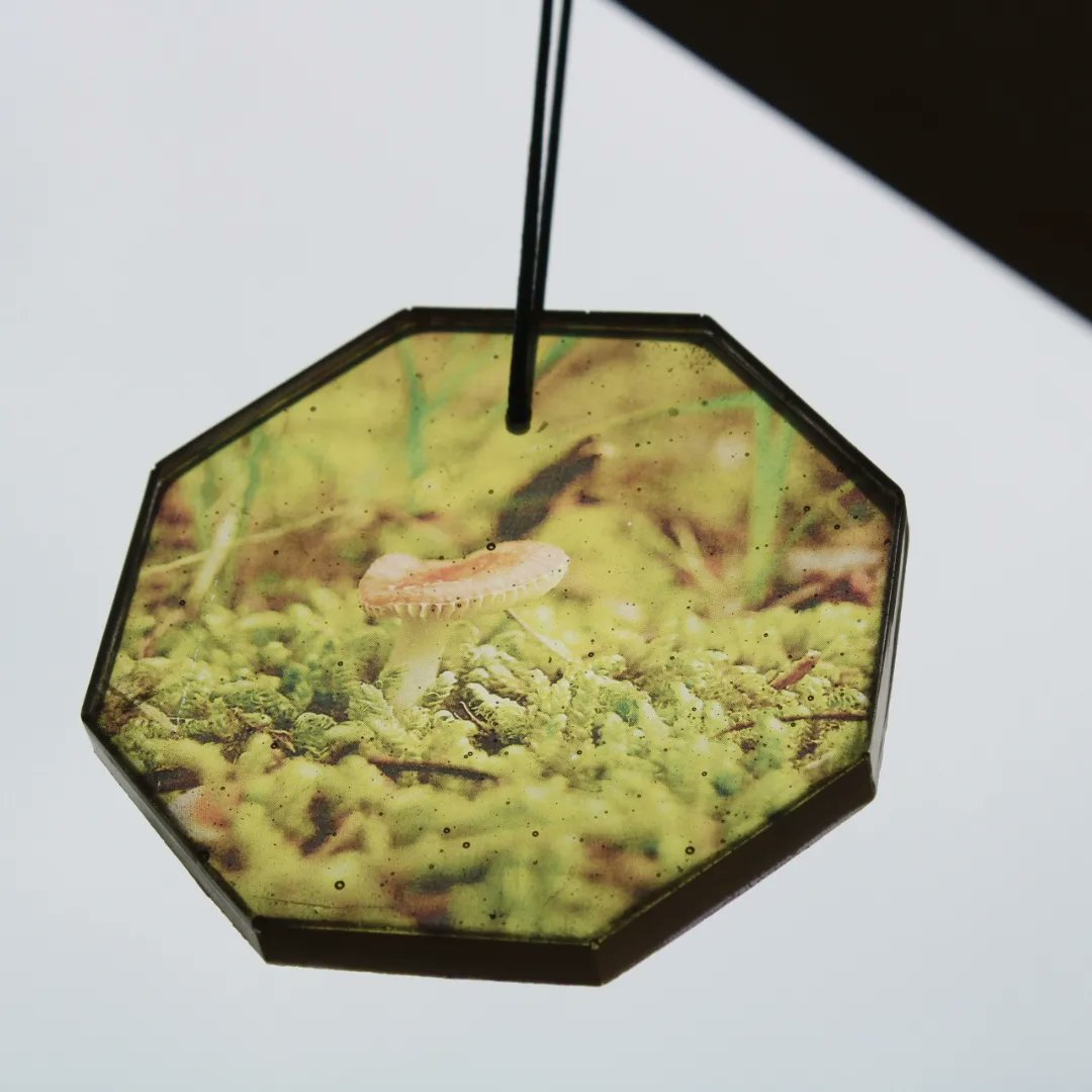 KittyCAbyss's tweet photo. My photography in resin
#photography #Mushroom #fungi https://t.co/WdqzbGPc2i