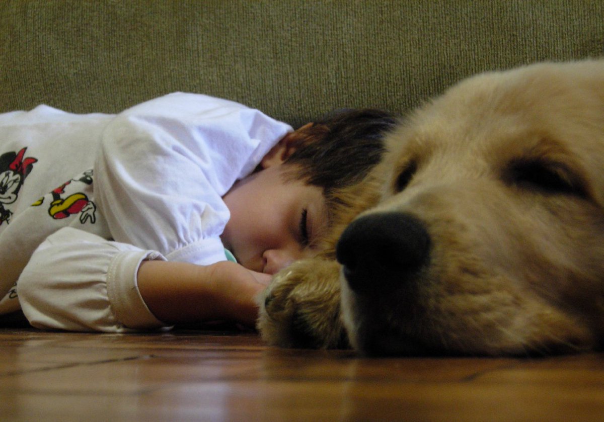 BJOTeditor's tweet photo. Sleep and occupational performance are inseparable: Why occupational therapy practice and research should consider sleep and circadian rhythm

Our May issue editorial, free to read:
https://t.co/HeckYd95aB https://t.co/xoMigUHIdz