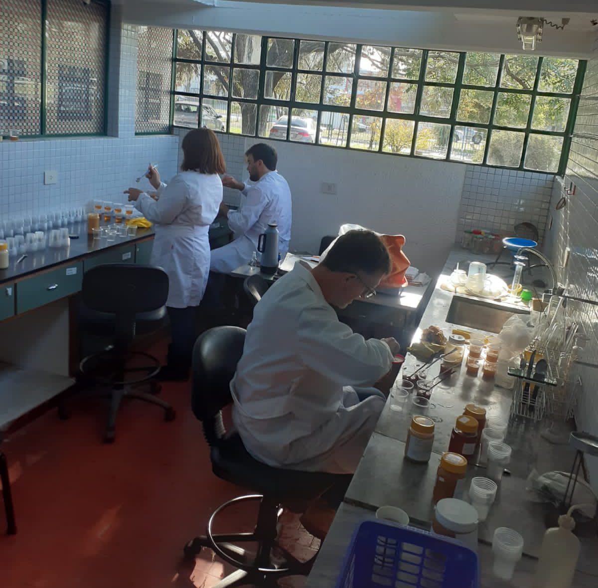 CarlaSeain's tweet photo. ¡Nos estamos preparando para la jura del 2° Concurso Provincial de Miel de @agrariopba! El equipo de nuestro Laboratorio trabaja en la recepción y análisis de los productos 🍯

🗓 Recordá que este viernes vence el plazo para presentar tu muestra

🐝 Más info: dapicola@gba.gob.ar https://t.co/uAT0HoHM2O