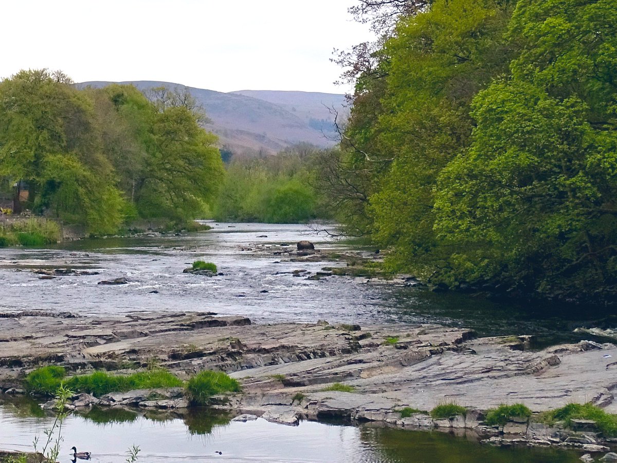 The river Dee.