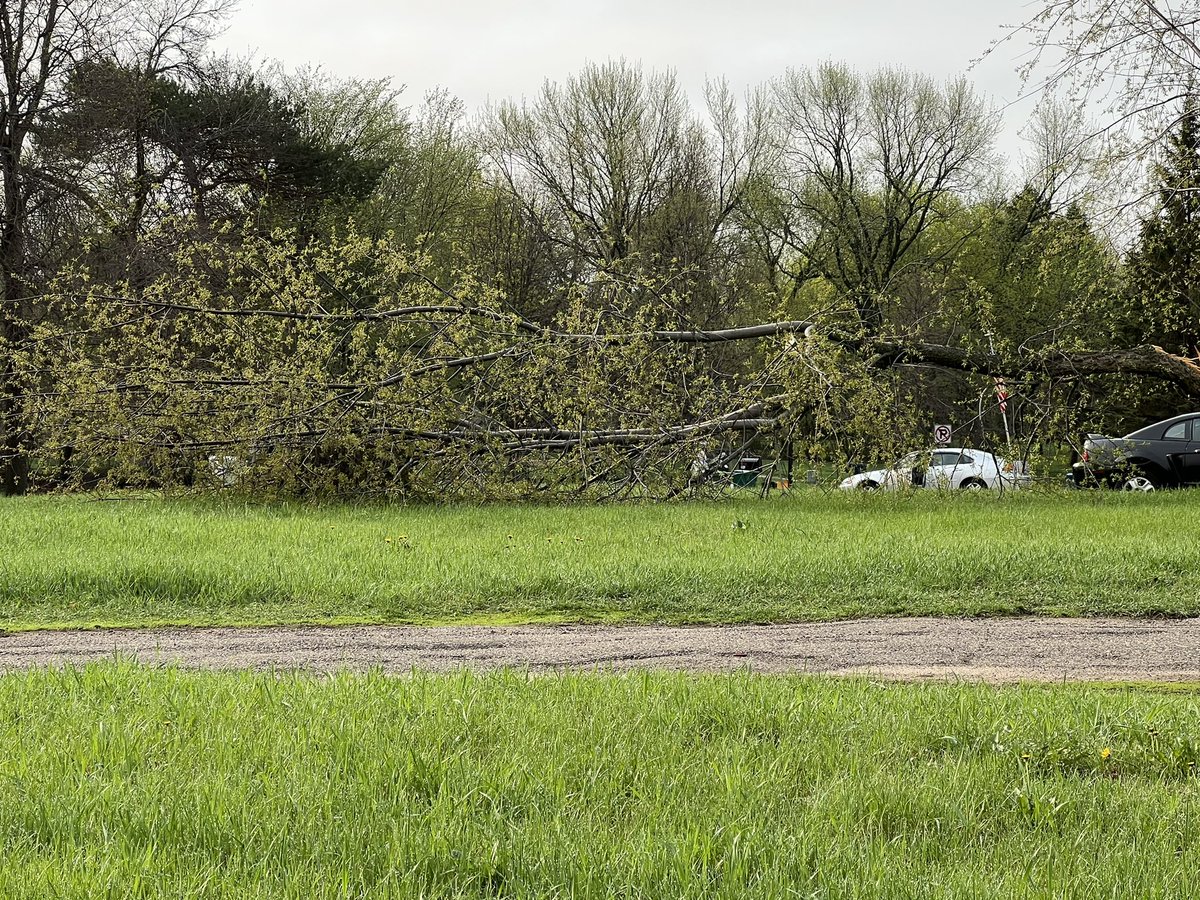 Janmandy's tweet image. Storm damage in our neighborhood in Brooklyn Park.