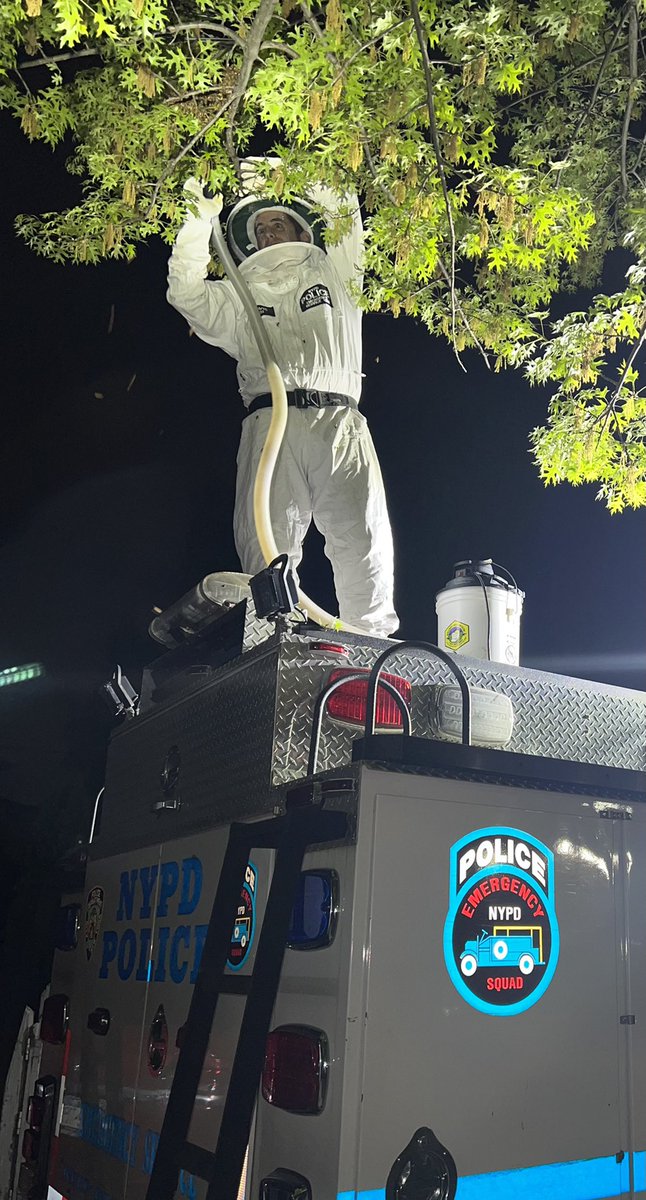 NYPD Bees tweet media