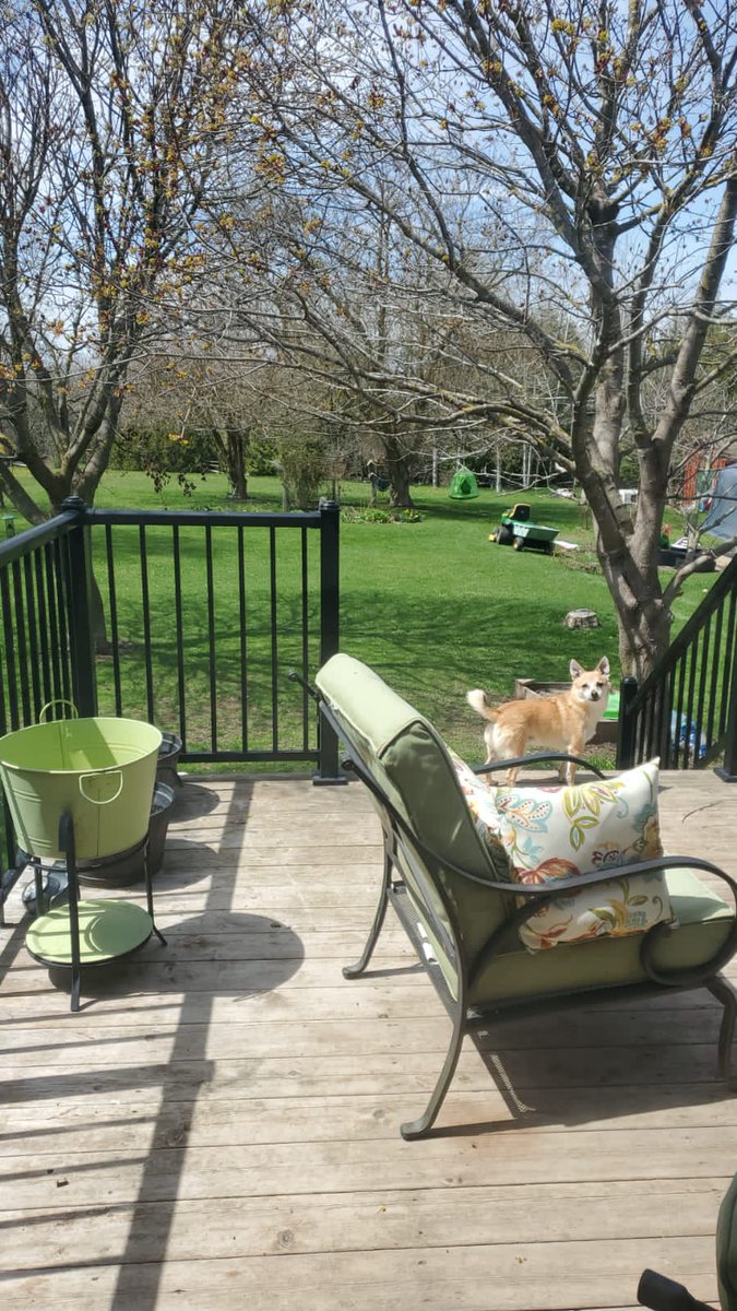 Good morning, I send you fresh greetings, warm wishes, early morning, a good start, I wish you a great spirit today, a lot of energy, a good mood, and everything is fine!