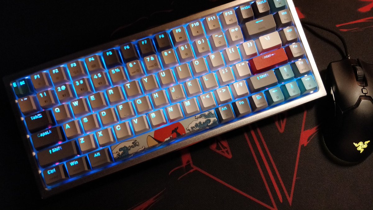 _____nikkk_____'s tweet photo. @MeckeysHQ YUNZII AK84 x SKYLOONG and SKYLOONG SK64 both on Gateron Reds. Babes demand a change 😩 https://t.co/LQu7XQklEF