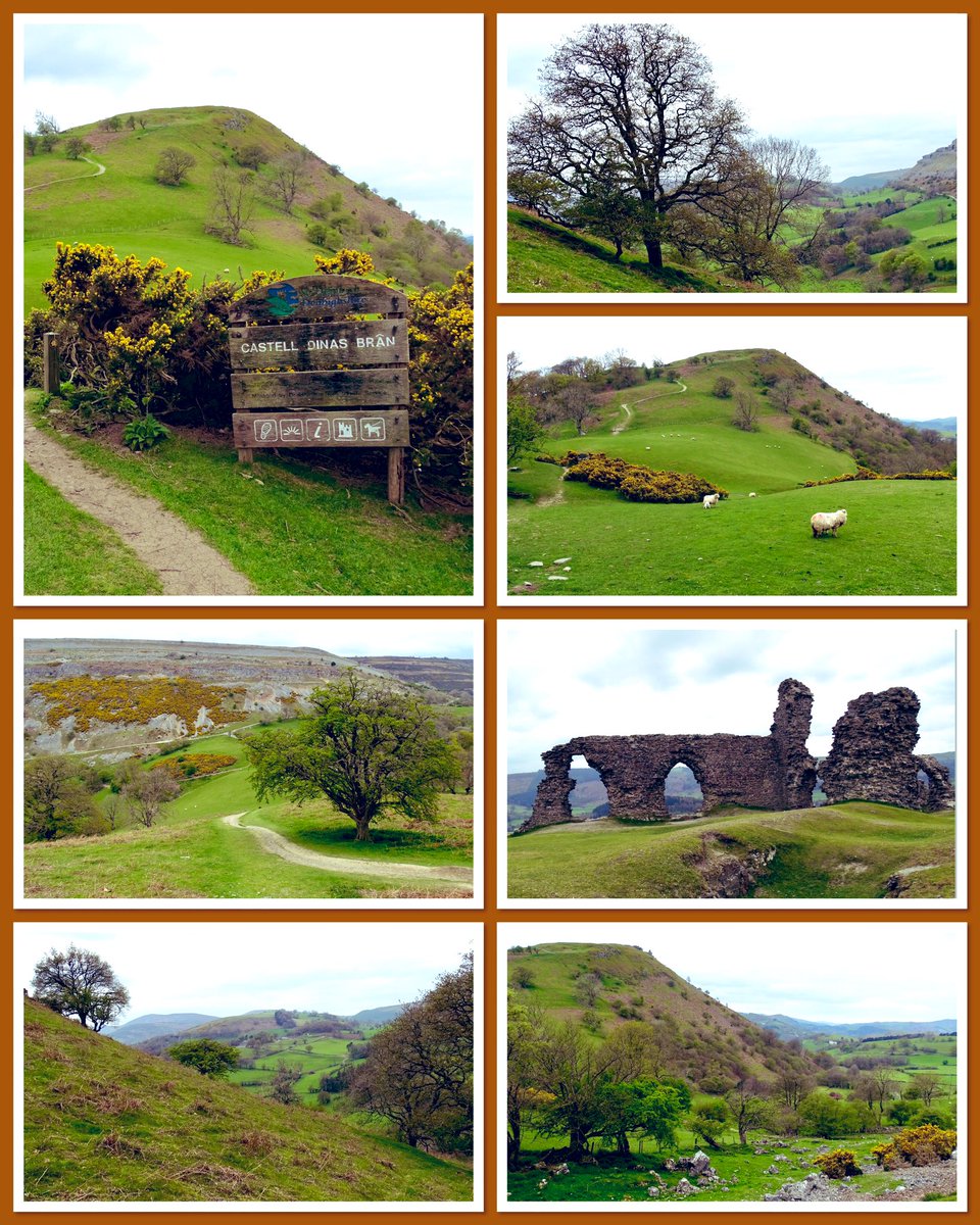 In the hills above Llangollen.