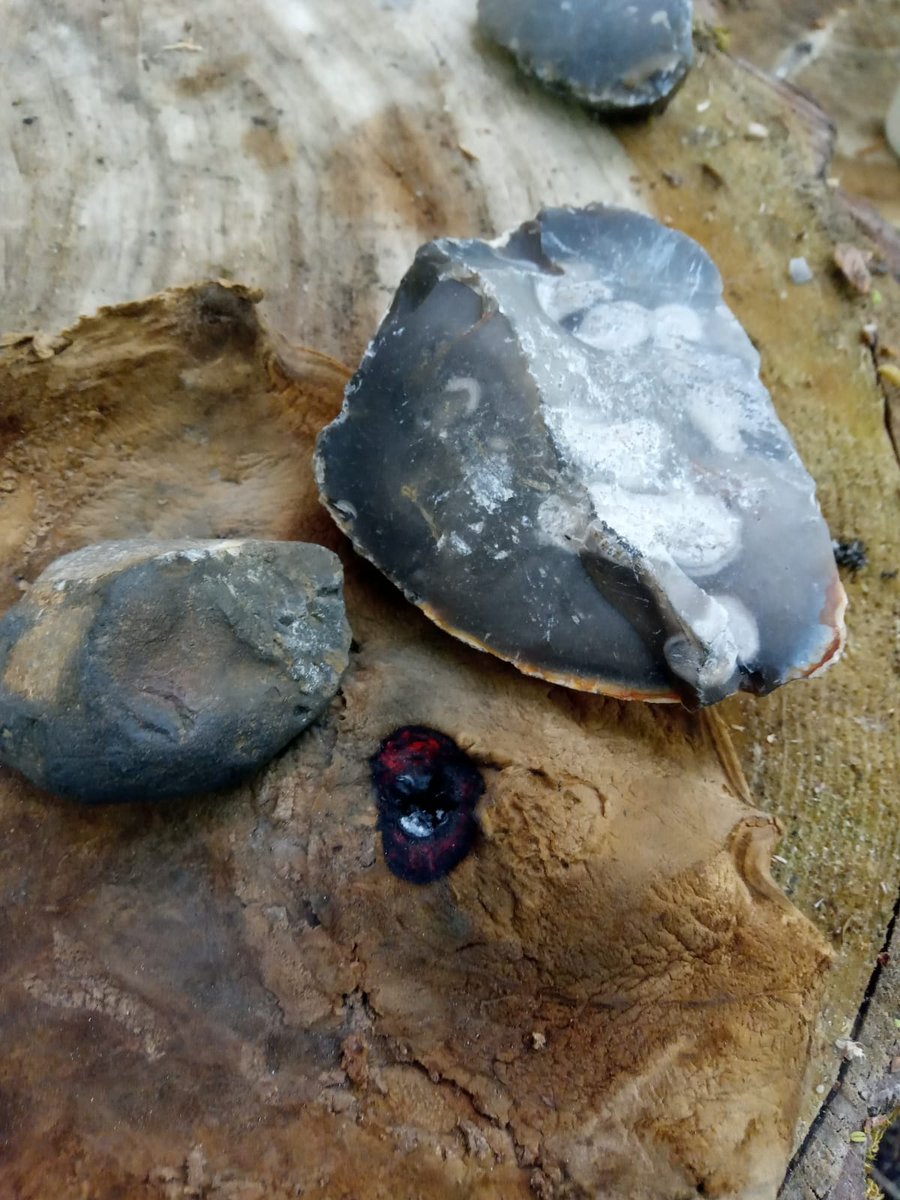 Having a go at stone age fire lighting techniques today in the woods, ready for a school session next week 😎  #bushcraft #outdoorlearning
