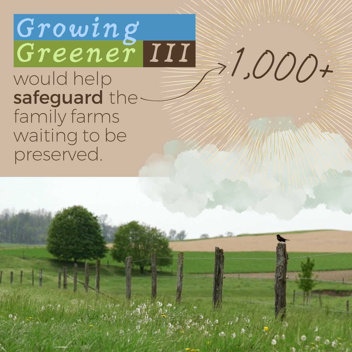 PaGrowGreener's tweet photo. Supporting #GrowingGreenerIII means standing on the side of thousands of PA farm families who are eager to preserve their land for agricultural purposes.

Visit ➡️ https://t.co/nyzFsOVQgn to #KeepPAGrowingGreener! https://t.co/MKiLazk2DB