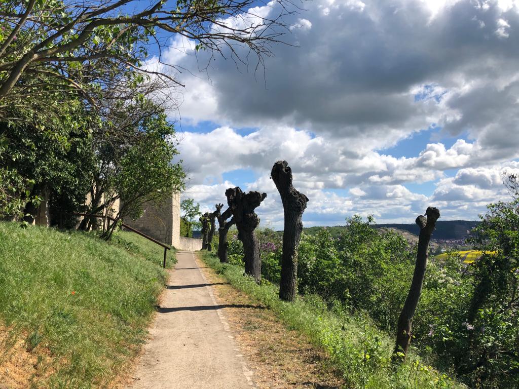 Małgorzata (@magorza43192548) on Twitter photo 