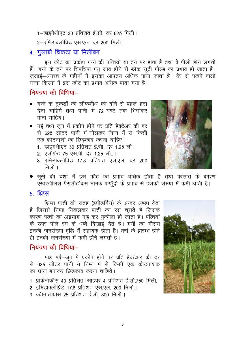 Cane Development UP tweet media