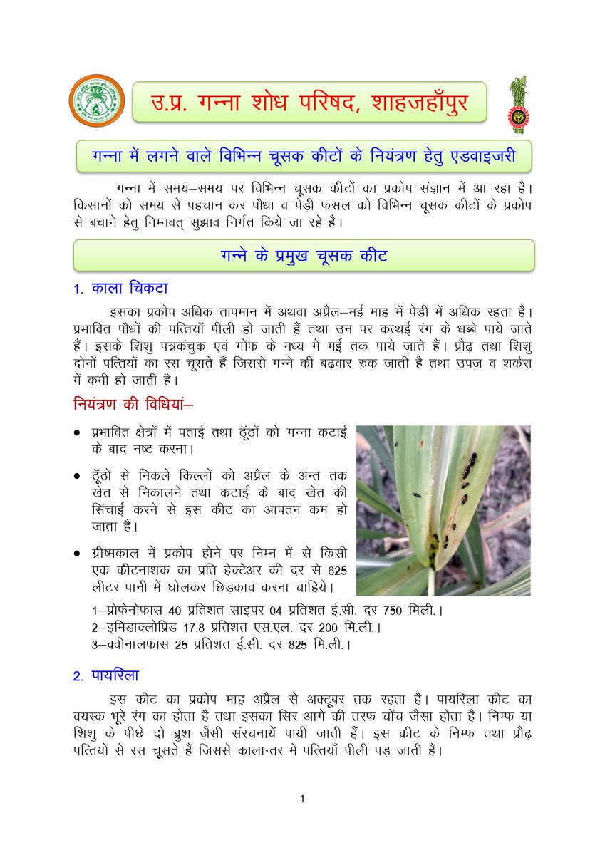 Cane Development UP tweet media