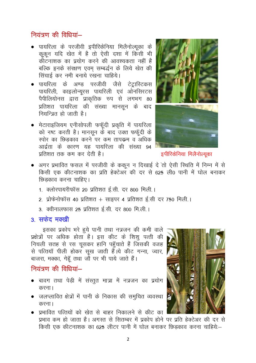 Cane Development UP tweet media