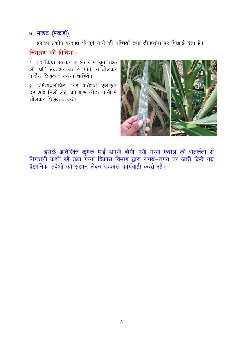 Cane Development UP tweet media