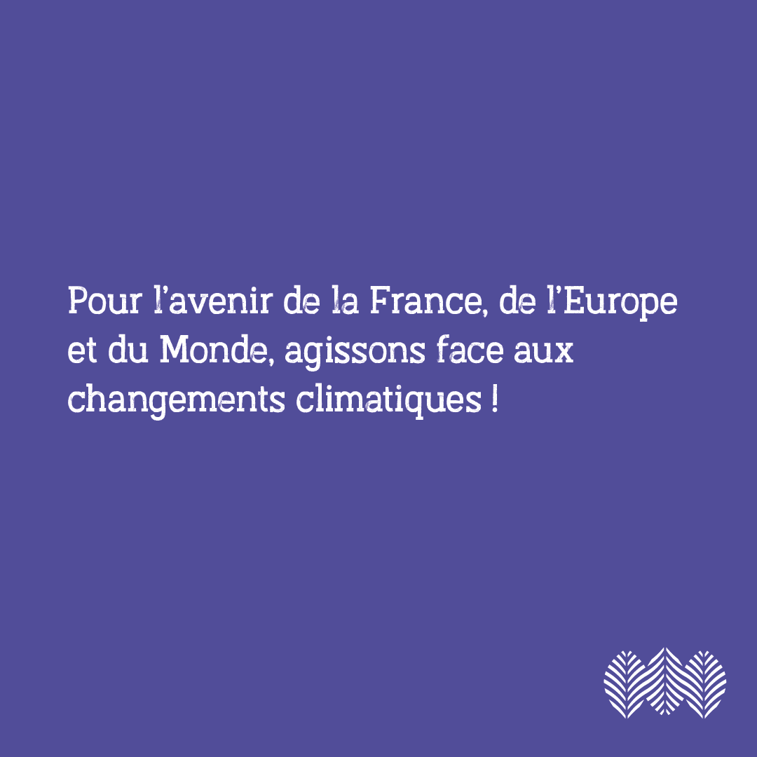 PALMAROSA FESTIVAL tweet media