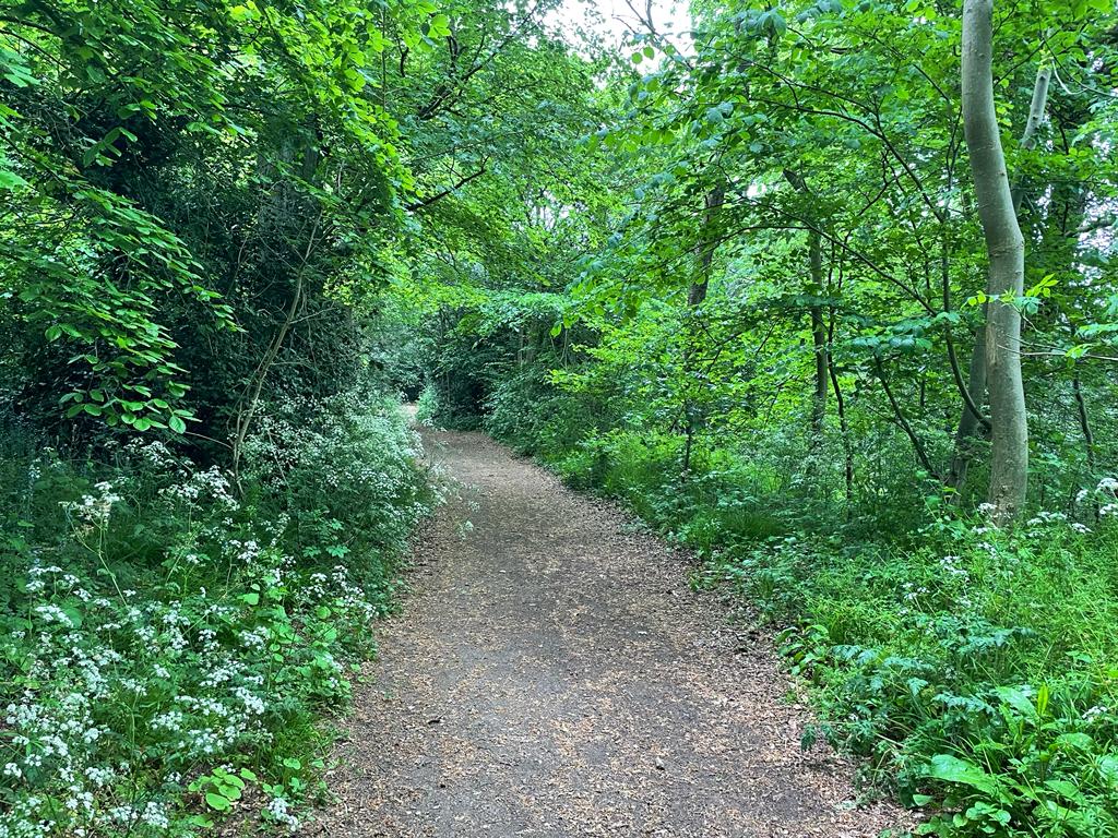 Colne_Valley's tweet photo. “Went well despite the rain. Lots of tea and cake consumed at the end.
#theTeaShack cakes at @FarmWoodoaks are lush!”
Great to see smiles and hear spirits weren’t dampened by the rain on the #Heronsgate ramble yesterday. Thank you Flo for leading!
https://t.co/Ajk5hwl1h6 https://t.co/vpzG3ZHfwa