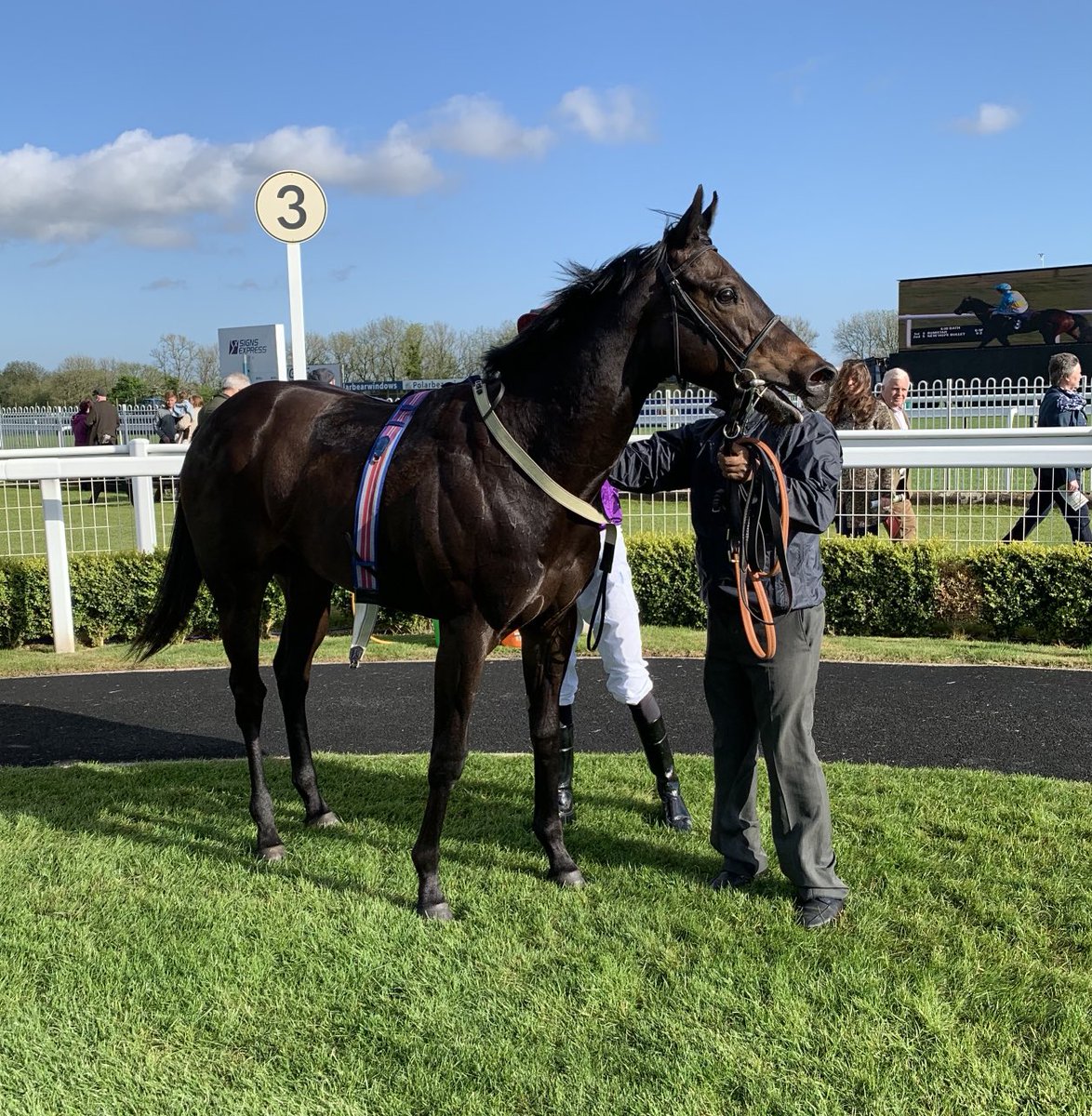 InsigniaRacing photo