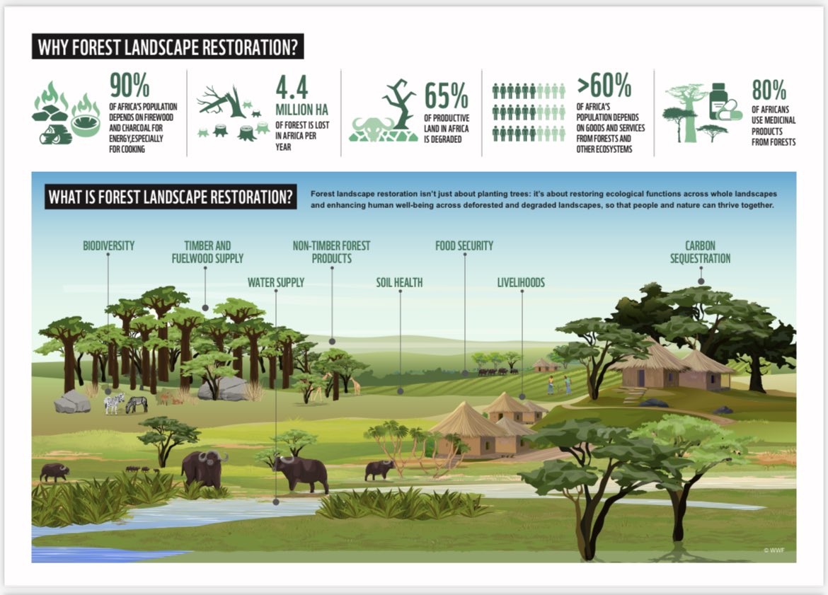 Can An Infographic Be Landscape