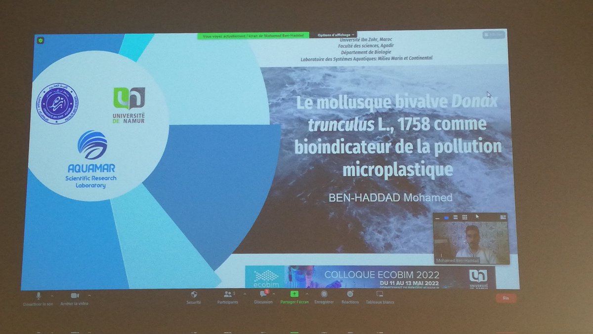 EcoBIM 2022 tweet media