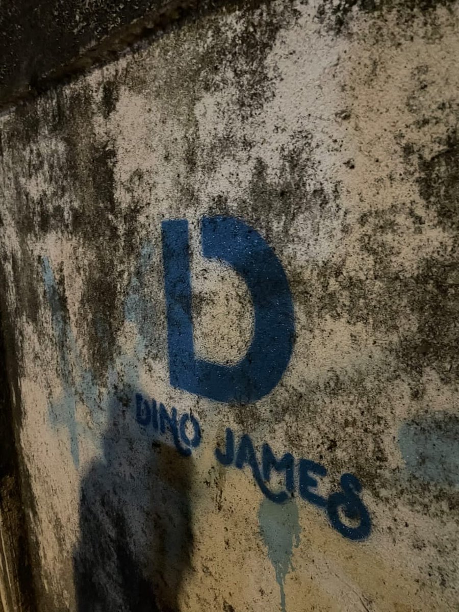 This is a social service announcement
  The government is urging you.
<a href="/dinojimmyy/">Dino James (Unofficial)</a>
#DForDinoJames