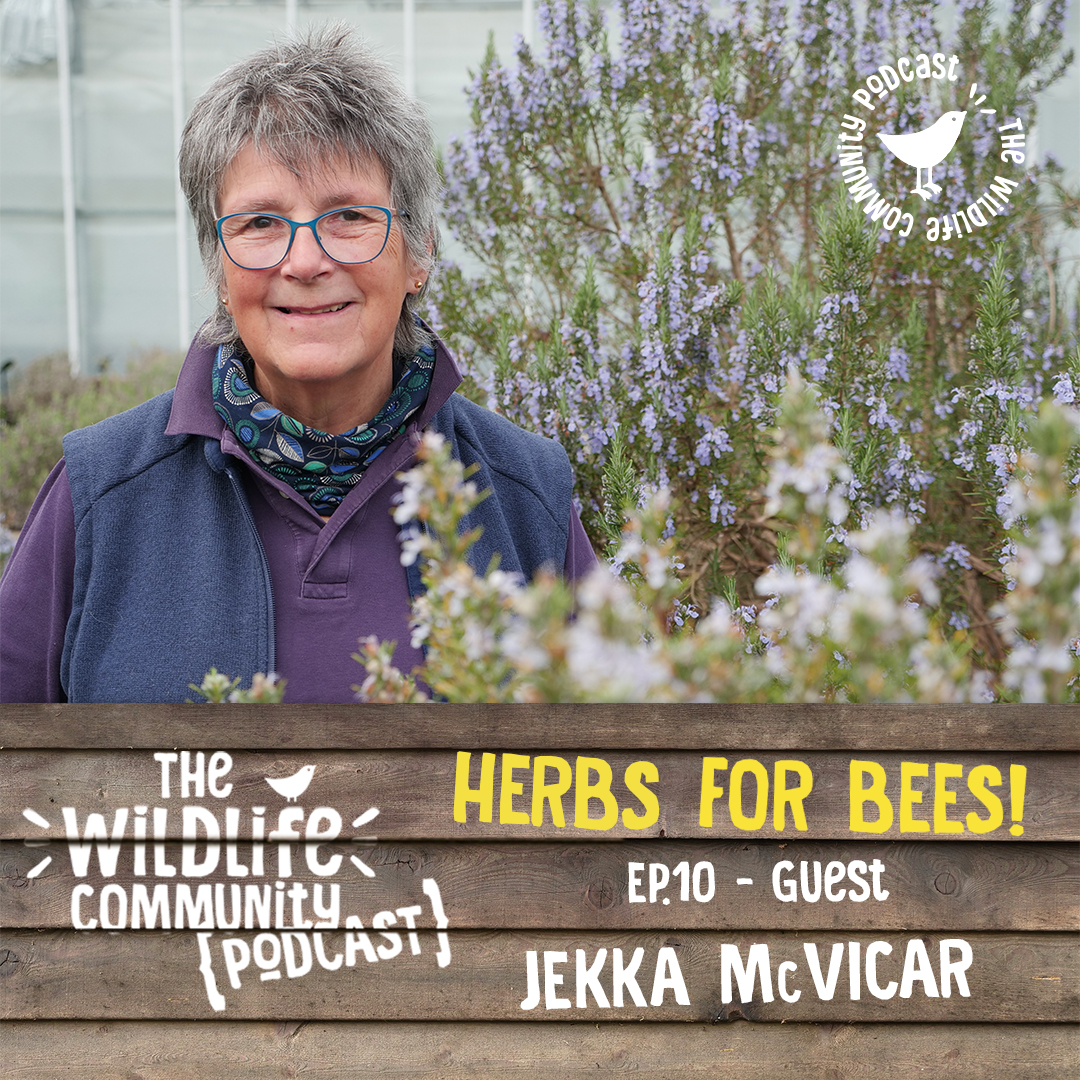 This month's podcast guest is famed herb expert <a href="/JekkaMcVicar/">Jekka</a> from <a href="/JekkasHerbFarm/">Jekka's</a> wildlifeworld.co.uk/blogs/podcast/… taking us on a tour of her bee-filled herb farm. Enter our competition to win a signed copy of her Herb Cookbook and two tickets to a June Open Day! #wildlifepodcast