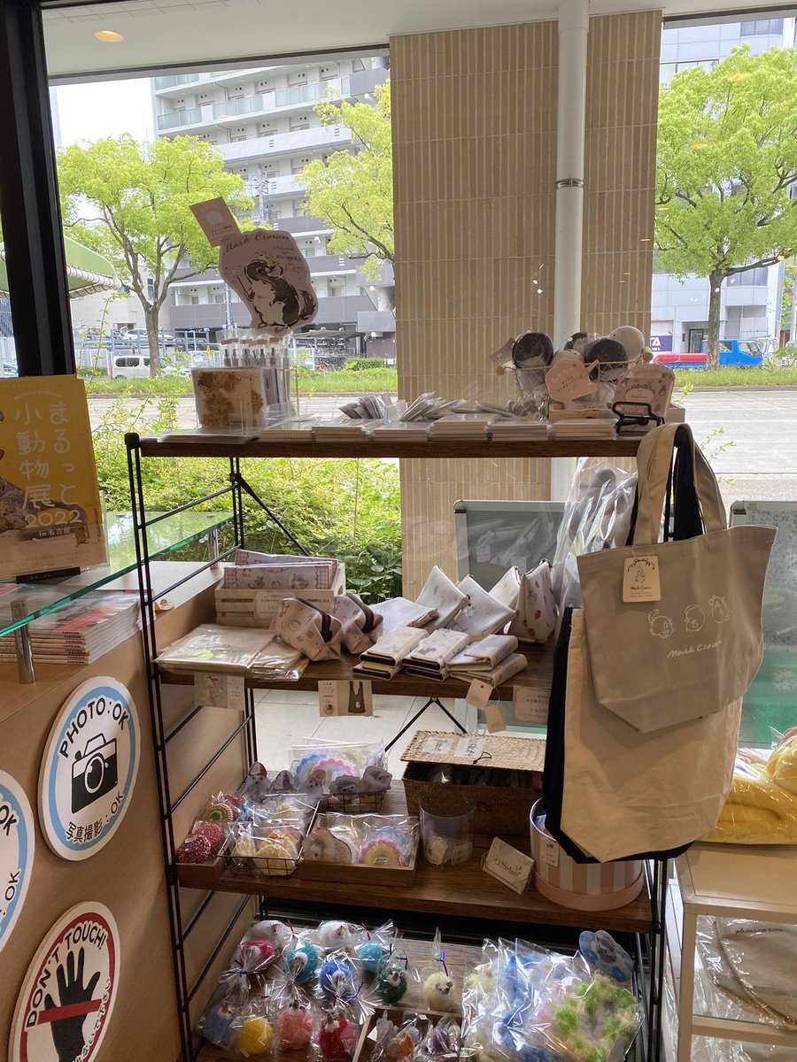 Guchan_21_01's tweet photo. 入口すぐレジ横に売り場がありました

#デグー
#まるっと小動物展2022
#MarkCrown https://t.co/Ff6OP3N9lN