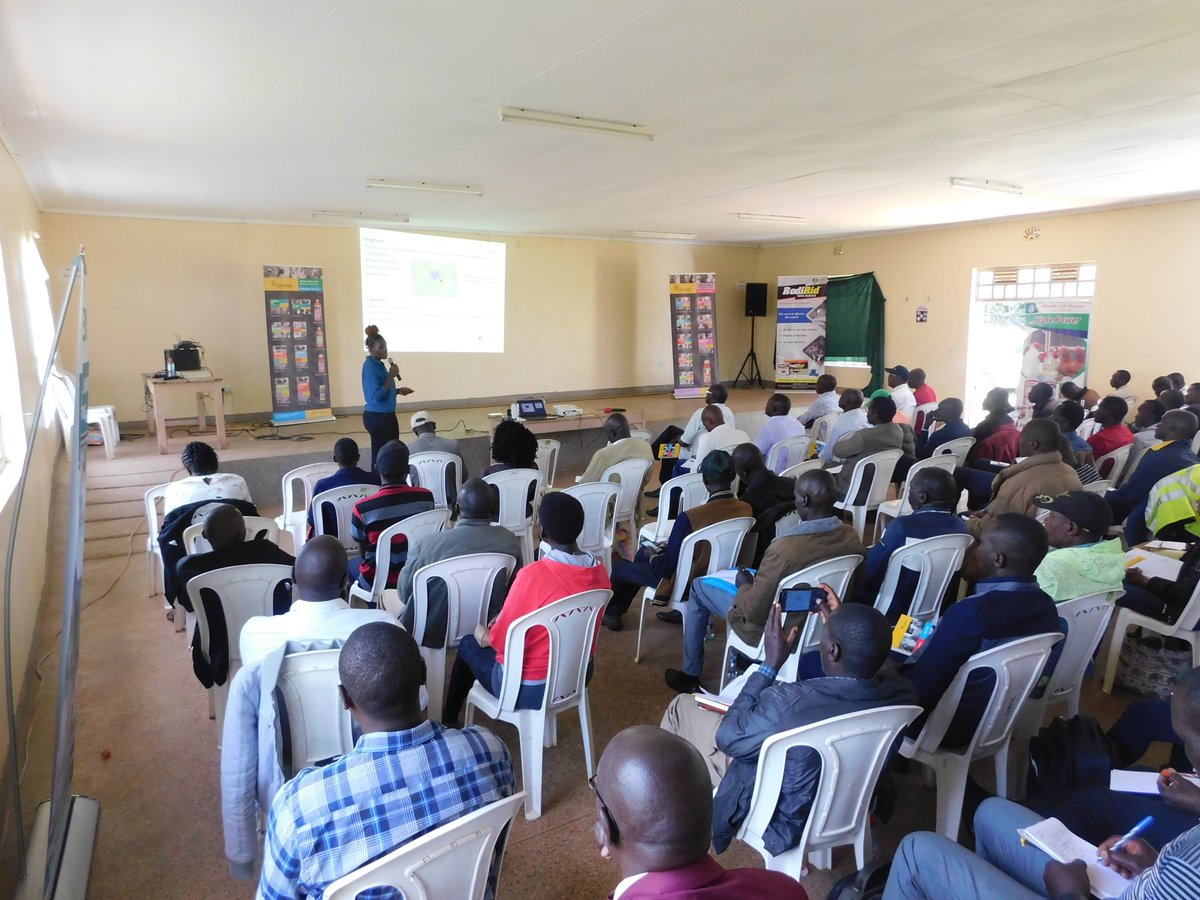Cosmos_Vet's tweet photo. @kellenasena doing a presentation on tick borne diseases and trypanosomiasis during the Animal Health Technicians and Technologists Training in Eldoret. https://t.co/awjefZMzgD