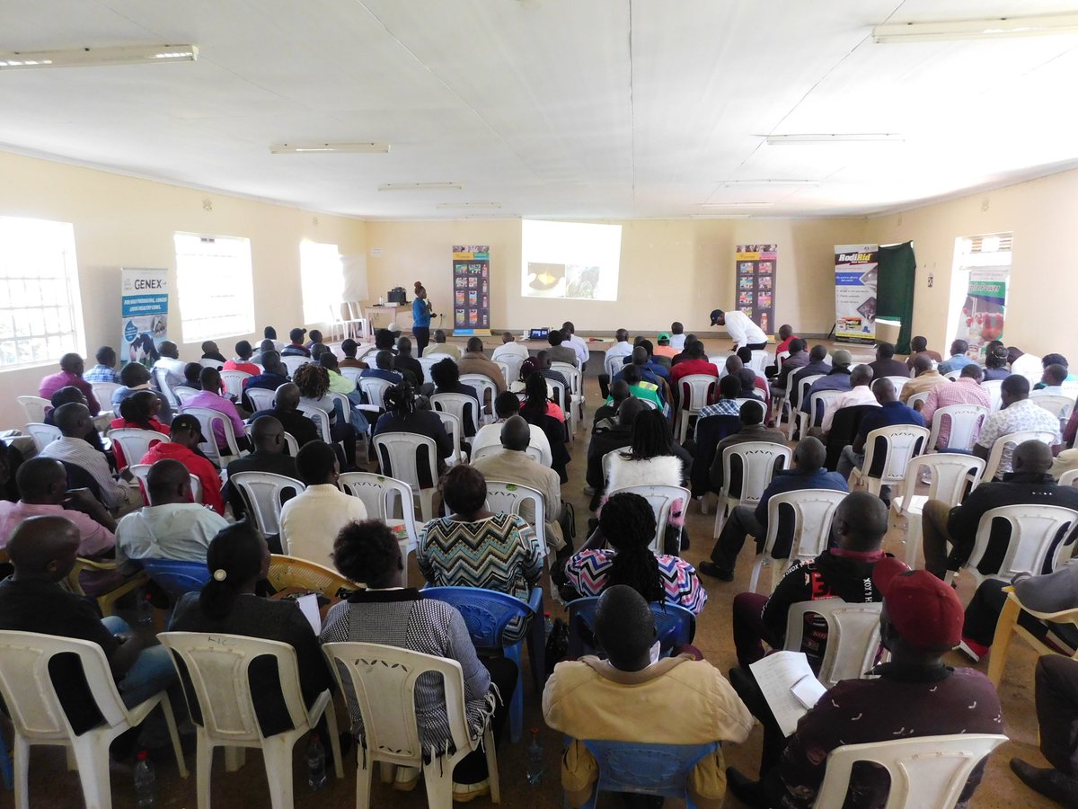 Cosmos_Vet's tweet photo. @kellenasena doing a presentation on tick borne diseases and trypanosomiasis during the Animal Health Technicians and Technologists Training in Eldoret. https://t.co/awjefZMzgD