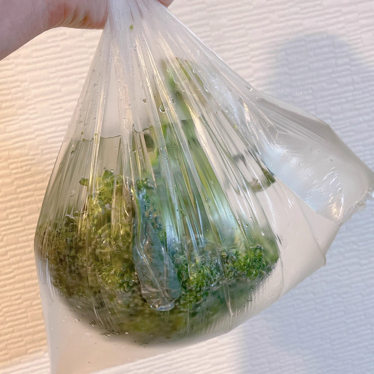 料理でよくブロッコリーを使うという方必見！覚えておくと役立ちそうなブロッコリーの洗い方！