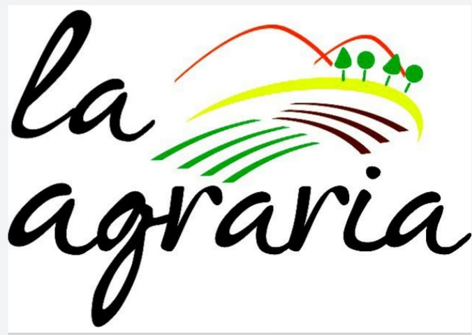 Primer colaborador todo un profesional en trabajos agrícolas. Planta, cosecha.... y mucho más muchas gracias a la agraria. Número de teléfono 637103472.