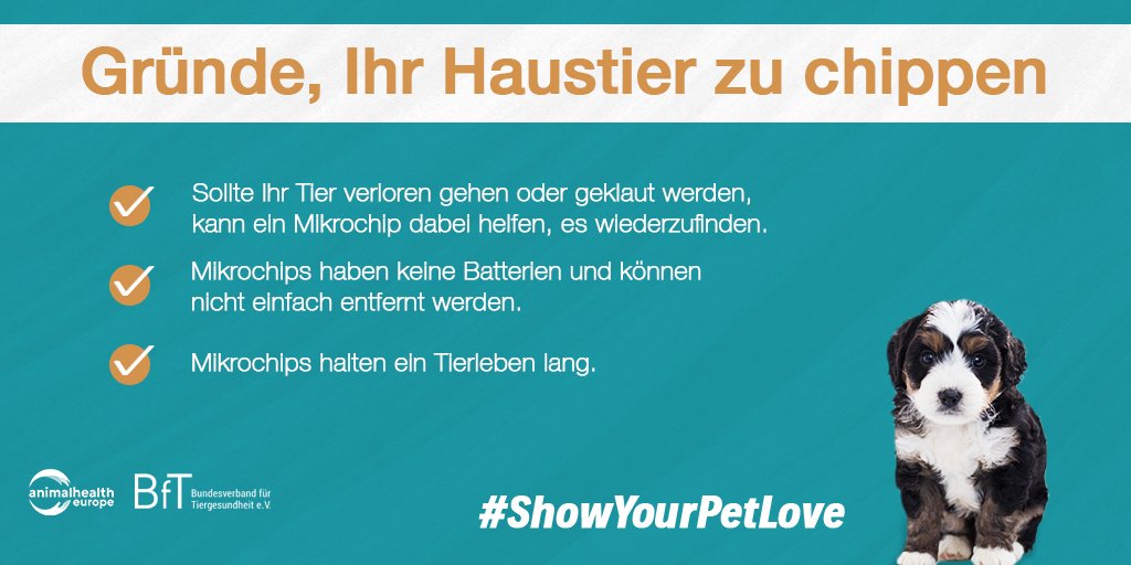 BfTGermany's tweet image. Ist Ihr Haustier gechippt? Die Kennzeichnung mit einem #Mikrochip kann nicht nur helfen, Ihr Haustier wiederzufinden, falls es verloren geht, sondern ist bei Reisen innerhalb der EU auch seit 2014 verpflichtend.