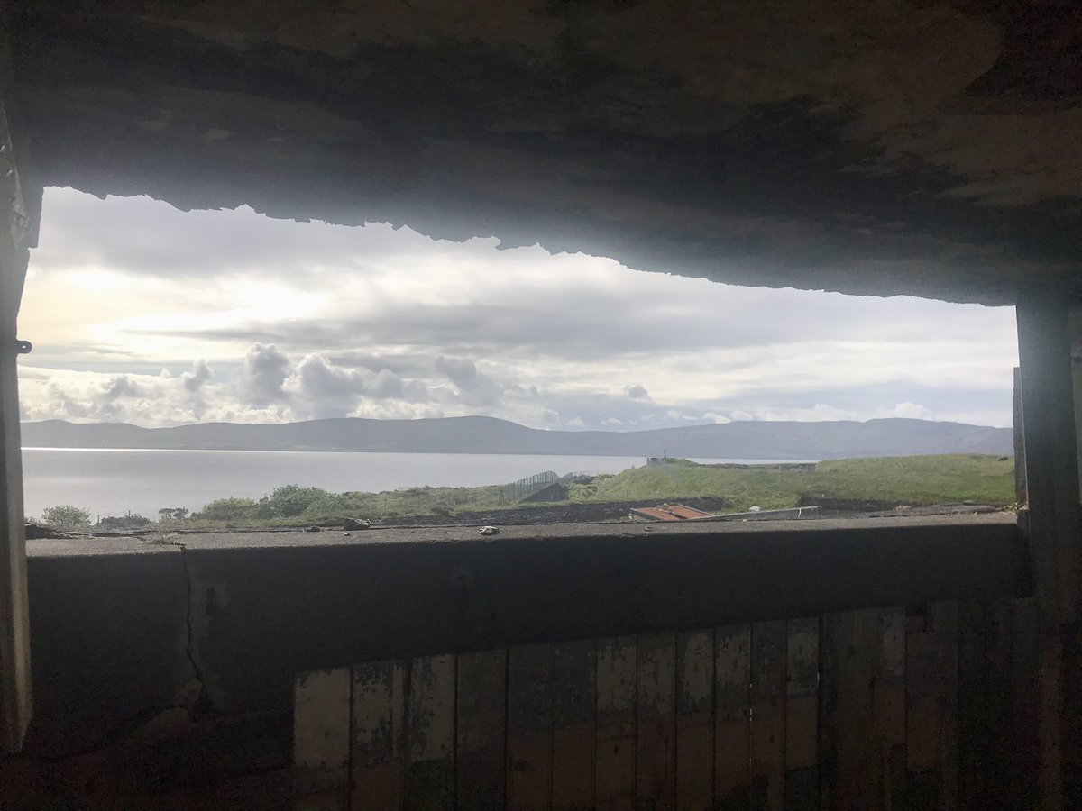 Helen Riddell tweet media