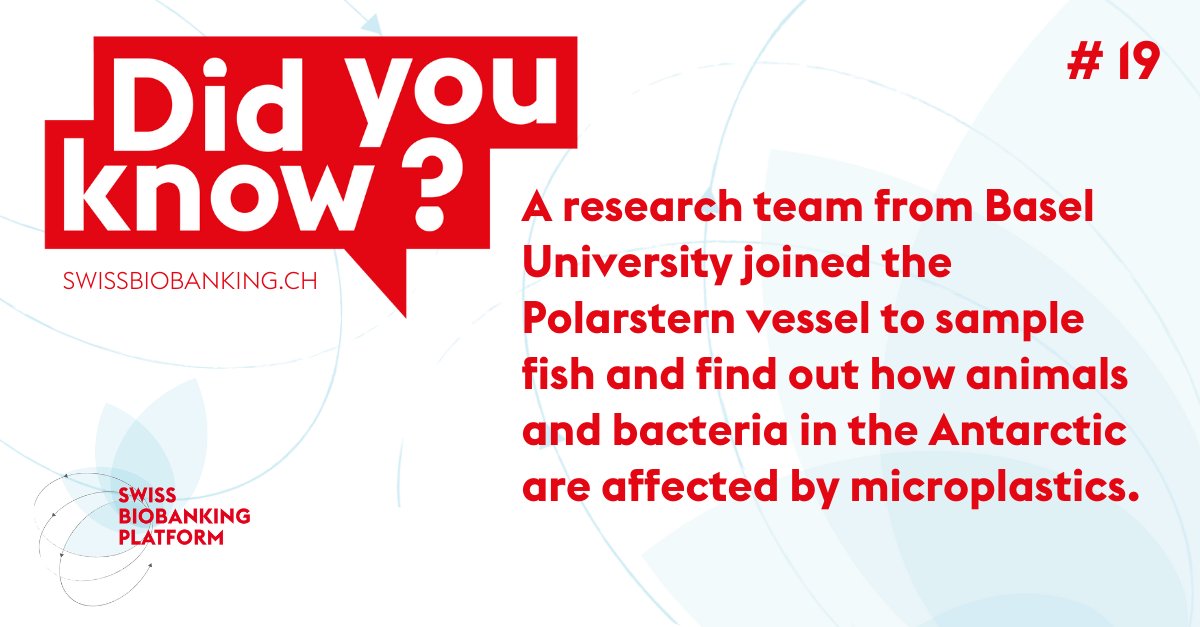 swissbiobanking's tweet photo. πhttps://t.co/uShdza1O2P Is plastic on the menu of Antarctic fish?
Swiss scientists from #BaselUniversity are figuring it out to monitor the effects of climate change and human activities on the #ecosystem.
@UniBasel_en #Polarstern #climatechange #research #microplastics https://t.co/Io0XN9hpTY