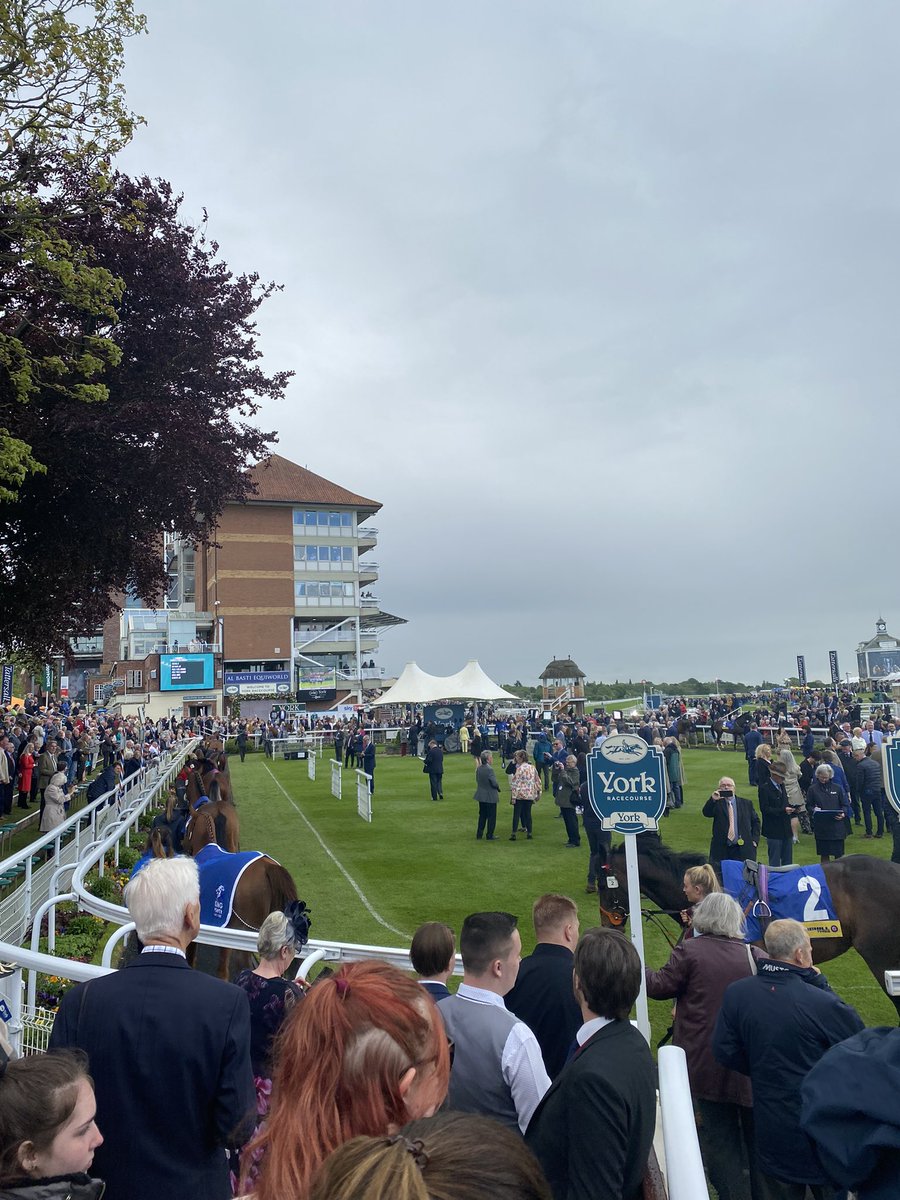 careersinracing's tweet photo. Some more 📸 from @yorkracecourse #DanteFestival #Careers #ExploreDay https://t.co/ndboL25yE6