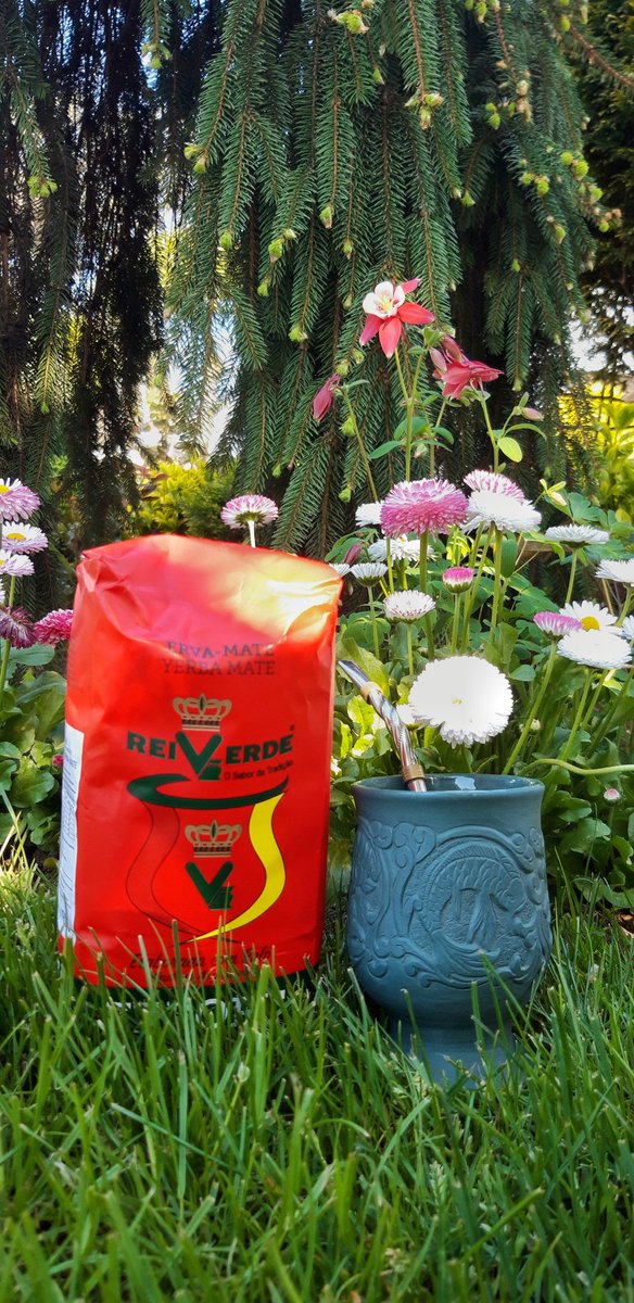 jarekcislo1's tweet photo. Ładujemy baterie przed dyżurami w przyszłym tygodniu 😎🧉
#reiverde @ymt24pl #yerbamate https://t.co/W9tu5mOP4f