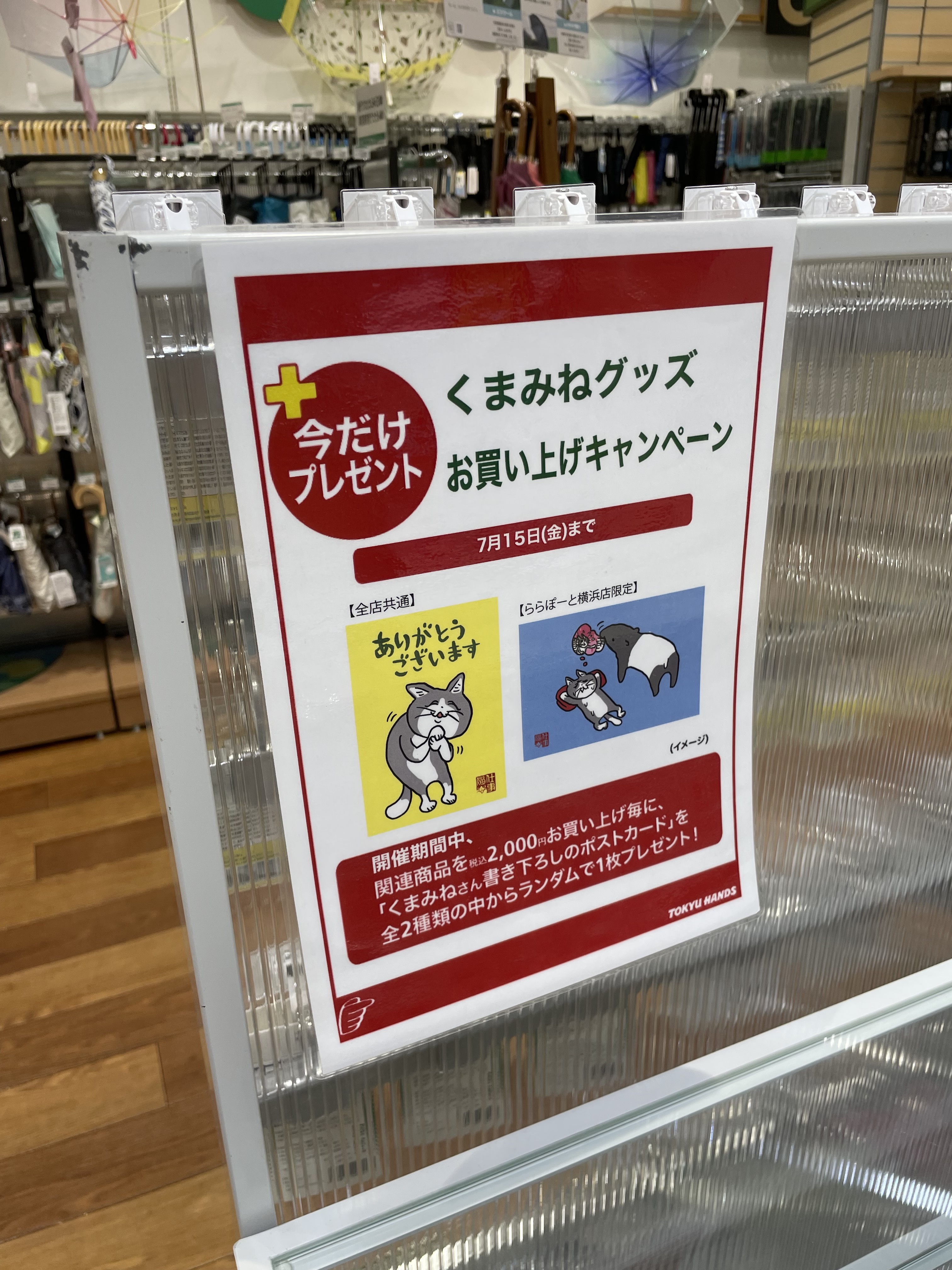 くまみね ムジーナ像は今 ららぽーと横浜にいます ららぽーと横浜のハンズでフェアもまだ開催中です Twitter