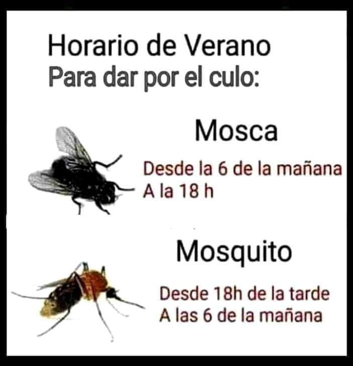 Javier Casanueva (@javiercasanueva) on Twitter photo 