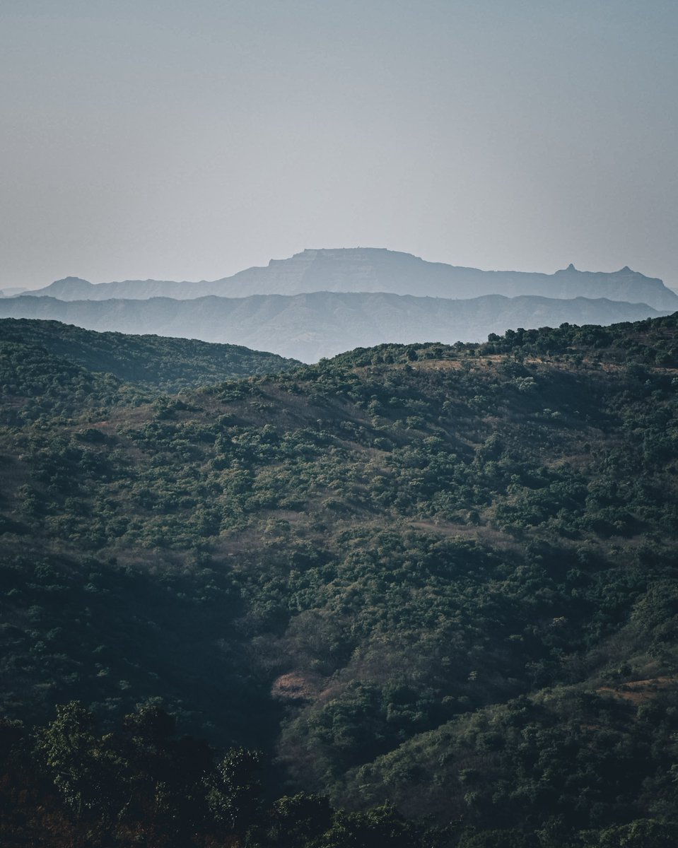 thethiirdeyee's tweet photo. Moody Greens! 💚
This is what I love the most about the green colour. When we converted into moody greens they use to give more alive vibe! ✨
#LavasaCity #nikonphotography #Nikon #IAmNikon #Pune #PuneTimes @NikonUSA https://t.co/X58Uz3fWYy