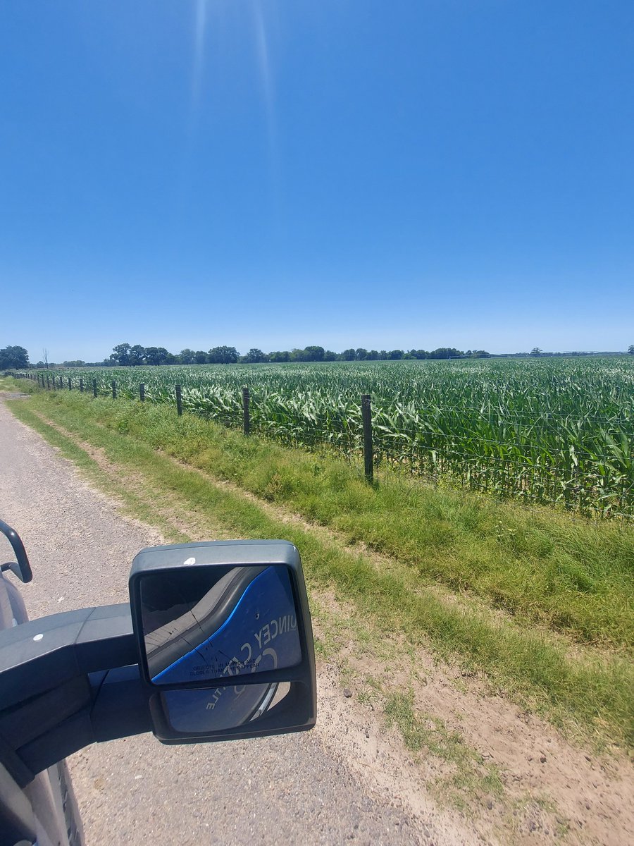 sanderscattle's tweet image. About to start home from florida with another load of fresh fantastic home raised beef.  Got some pics this trip.  What a place.  @BeefHome @sanderscowgirl