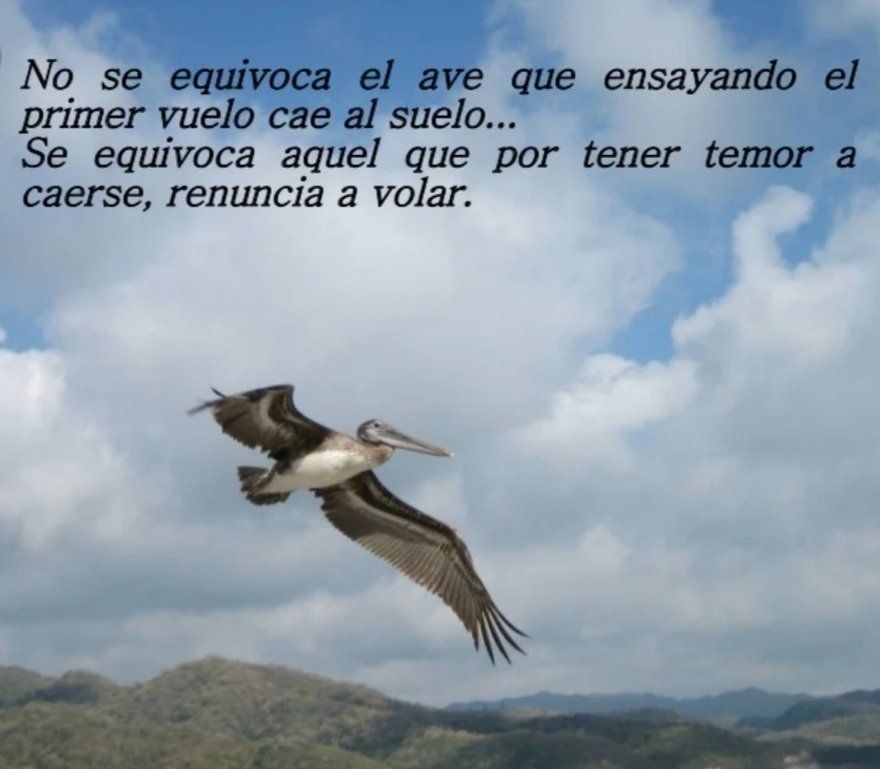 José Gugliotta Gravé (@josegugliotta) on Twitter photo 