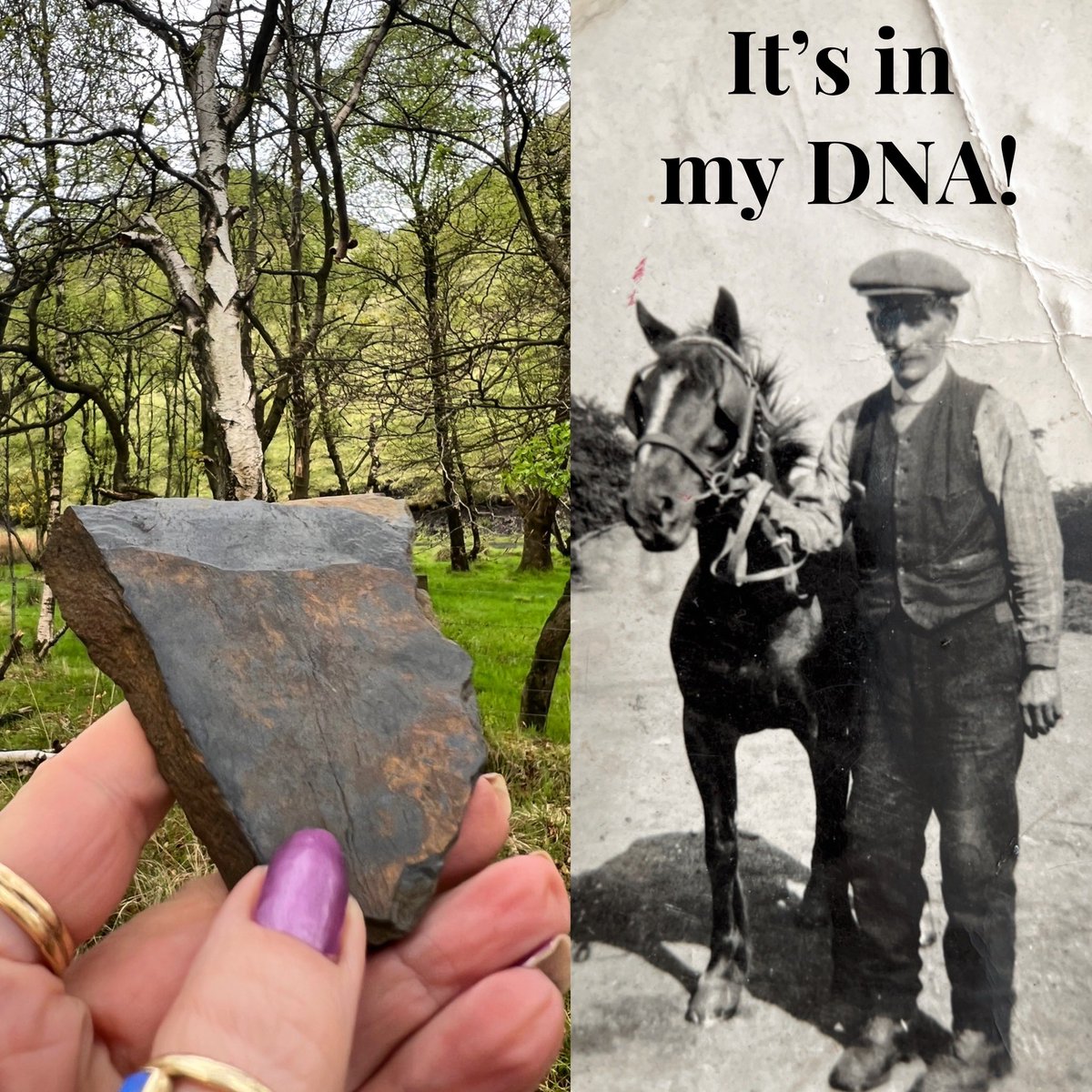 JetSarah's tweet image. So weird that my sample suite collection has led me to the very mine in which my great grandad lost an eye. If Midlothian oil shale turns out to be Scottish’jet’ then it’s truly in my DNA!
#archaeology #geology #phdlife #gemmology #oilshale #westcalder @ArcDurham @DurUniEarthSci