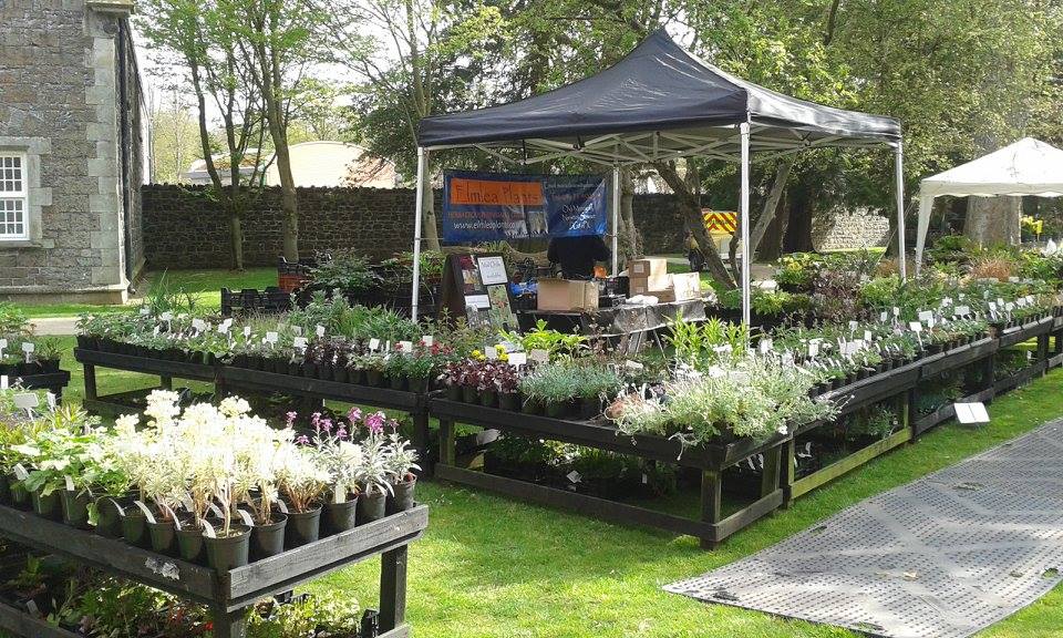 SconeGardenFair's tweet photo. Delighted to welcome Elmlea Plants to Scone Palace Garden Fair on 3rd and 4th June - a small, family-run nursery in Newton Stewart, specialising in herbaceous perennials and grasses, late flowering plants such as heleniums, and a range of larger plants for customers with space. https://t.co/SPtPQpc1cJ
