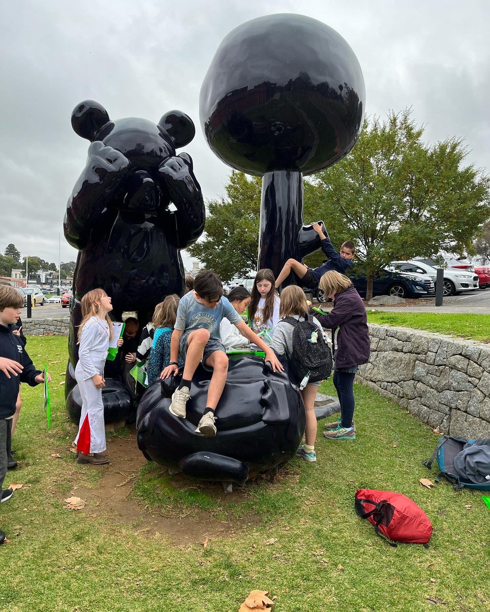 Taradale Primary Sch tweet media