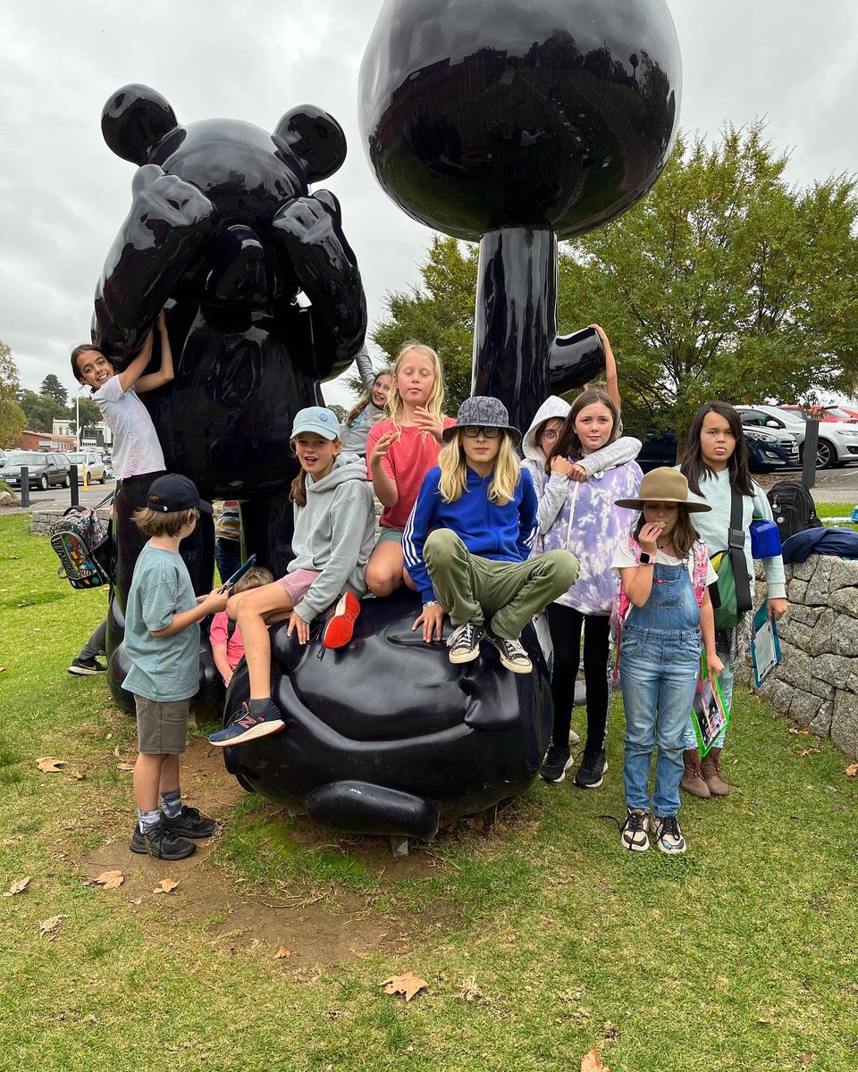 Taradale Primary Sch tweet media