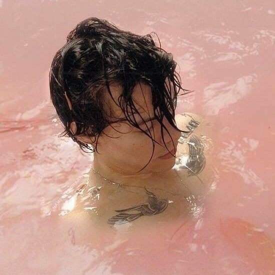 lomlxlt28's tweet photo. es el cumpleaños del album que le mostró al mundo lo enorme que iba a ser Harry Styles como solista ✨ https://t.co/kfdc8LHVr8