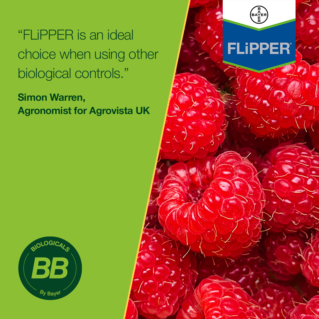 Bayer4CropsUK's tweet photo. Chatting to @simonwarren21 of @AgrovistaUK about our new bioinsecticide FLiPPER 👍 

Find out how fantastic FLiPPER is for yourself 👉 https://t.co/VhCNDv2IJ0 https://t.co/eueGhqb8HM
