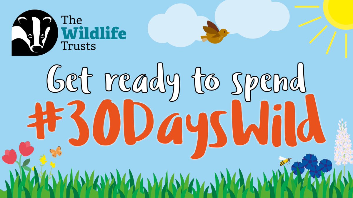 Have you heard of #30DaysWild? We’re challenging you to do one wild thing a day throughout June. Sign up today! 👇🦔🐝☔💚🌍🌱
wildlifetrusts.org/30DaysWild