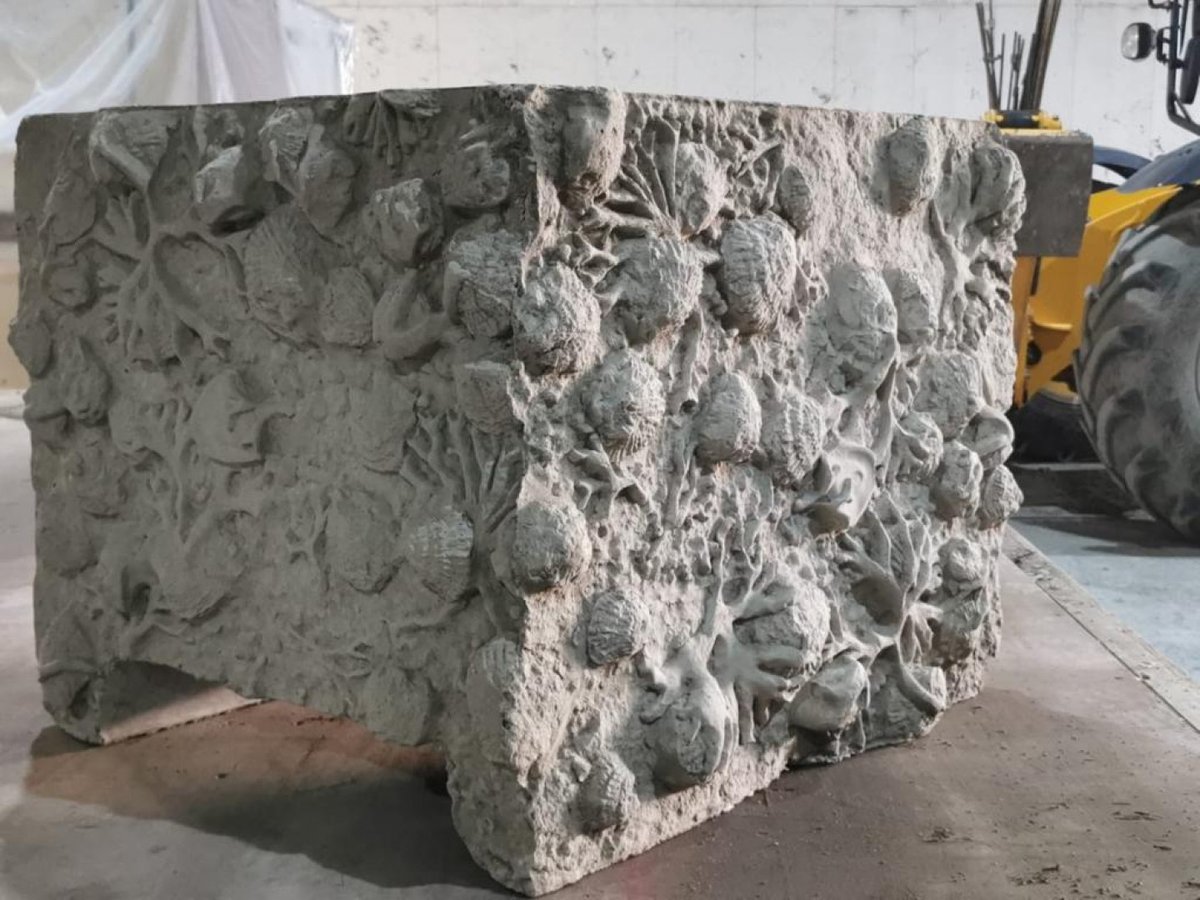 Building Centre tweet media