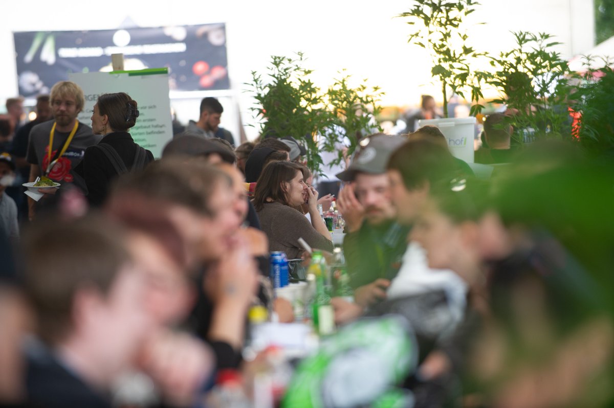 Eat hemp without getting high! 🌭 What’s special there? You will get a Hemp-Menu at each of the food stalls, like hemp pasta, vegan hemp burger or just combine your fried sausage with tasty hemp mustard.