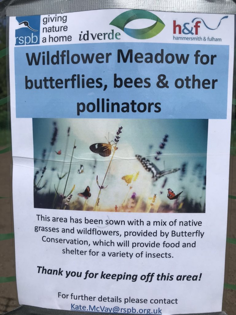 Have you seen this big patch of dirt on the Scrubs? It’s been sown with a mix of native grasses and wildflowers that will provide vital food and shelter for butterflies, moths and other pollinators

#SaveTheBees #butterflyconservation #idverde #rspb #savingnature #ecology